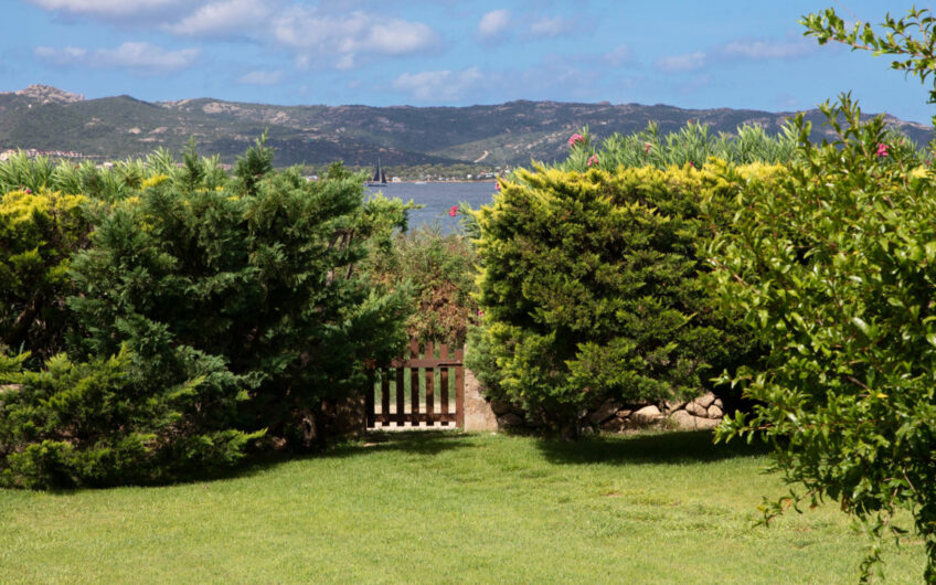Villa Sole Mannu – Elegant Villa in Baja Sardinia, Costa Smeralda