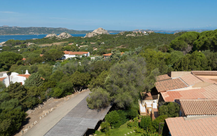 Comfortable Apartment near the Sea in Baja Sardinia – XB 2A42