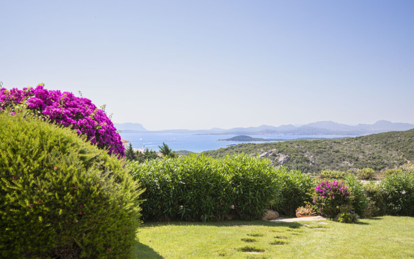 Villetta Bouganville, Abbiadori