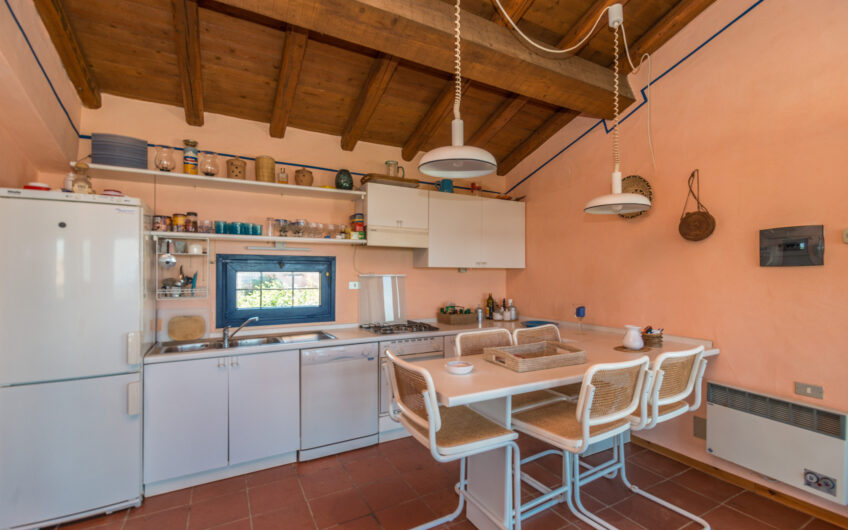 Appartamento I Cedri vista mare